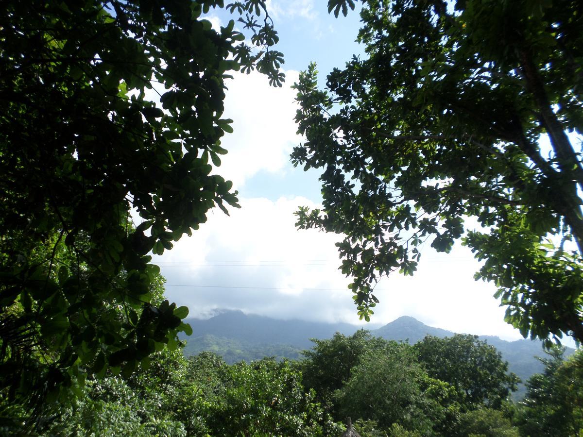 Las Mananitas De La Sierra El Zaino Zewnętrze zdjęcie